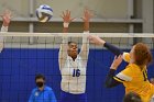 Wheaton Women's Volleyball  Wheaton Women's Volleyball vs Smith College. - Photo by Keith Nordstrom : Wheaton, Volleyball, Smith